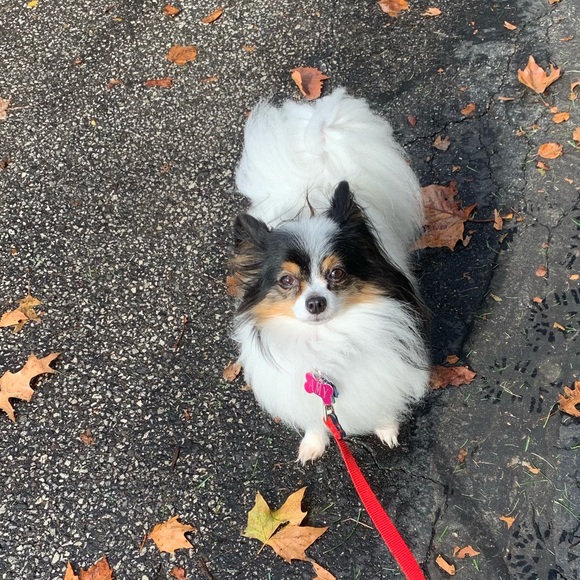 Meet your Posher, Nancy - Picture 1 of 6